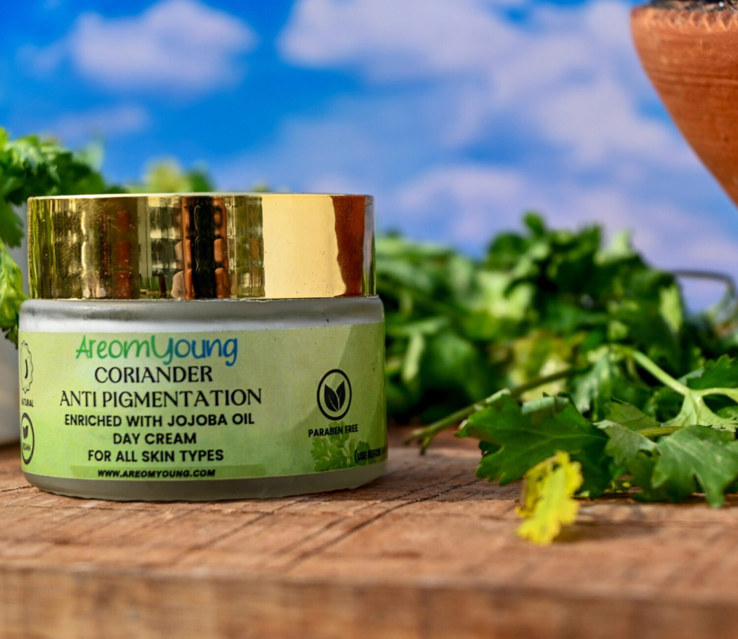 Areomyoung Coriander Anti-Pigmentation Cream – Natural Brightening Moisturizer