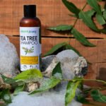 Tea tree shampoo with neem for dandruff control and scalp health