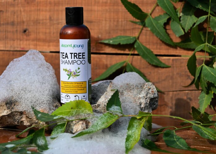 Tea tree shampoo with neem for dandruff control and scalp health